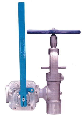 Conval CLAMPSEAL tandem blowdown service valves