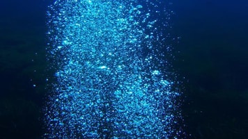 1024623_Bubbles-of-diving-trip-against-black-bottom.-Underwater-shot-