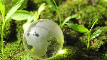 1025309_greenworld_808523
