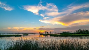 colourful-sunset-in-Louisiana-swamps-mississippi-river