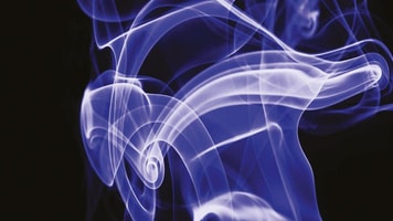 1037527_xenon_770844_crop