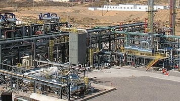 bandvplant