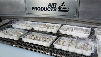 air products freshline iq tunnel freezer