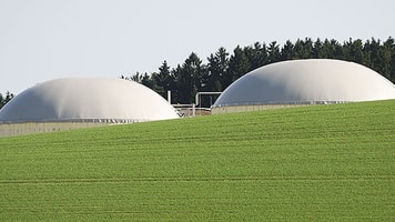 Biomass alternative energy green