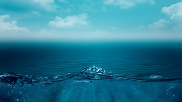 Aquaculture sea