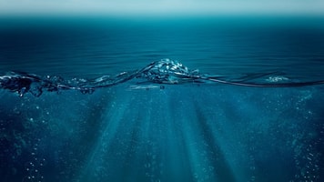 Aquaculture under the sea co2 storage