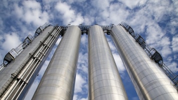 boc plant opening