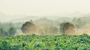 biomethane analysis