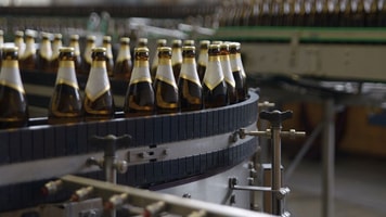 Bottles sf2 – August 2015