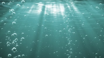CO2 bubbles aquaculture