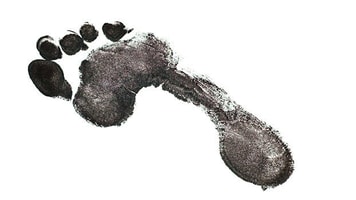 Carbon footprint