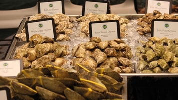 clams aquaculture