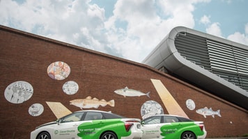 clever shuttle flotte hamburg