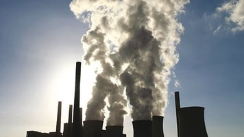 Coal refining