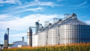 corn dryer silos standing in a field of corn