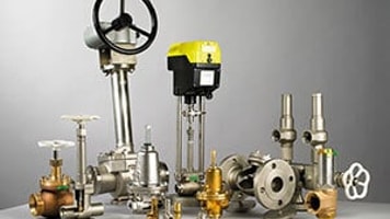 Crygenic valves