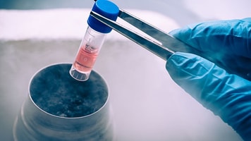 Cryogenic liquid nitrogen in laboratory