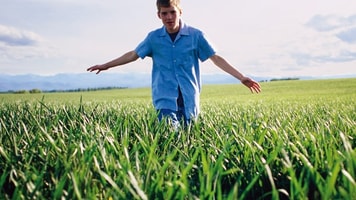 CO2 crop growth