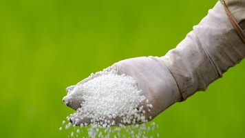 Fertiliser ammonia
