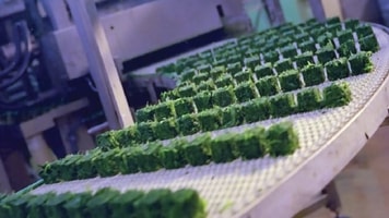 Food processing, freezing