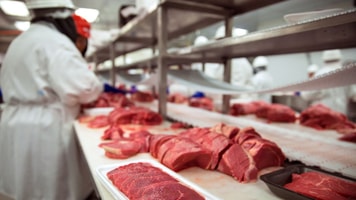 food and beverage meat packaged copyright el nariz