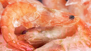 Food, frozen, Fish, prawns
