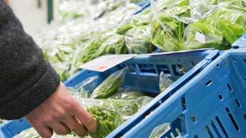 Food, green, vegetables, packaged