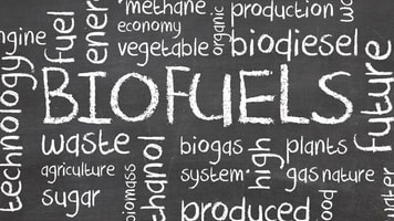 Green, Biofuels or Biofuel