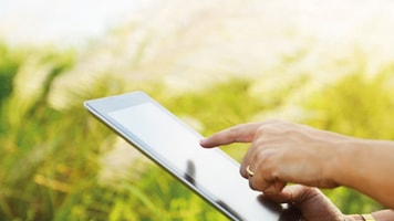 Green, Hands using tablet, computer in green field