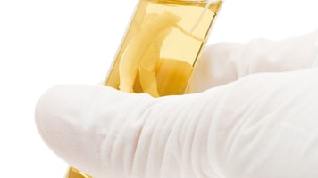 Green, Researcher holding test tube, bio-fuel, soy-bean, sprouts