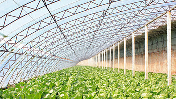 Greenhouse CO2 oxygen green