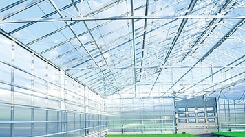 greenhouse CO2 oxygen green
