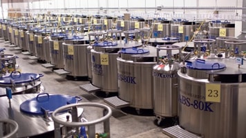 Cryobio dewars