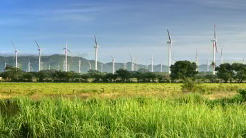 mexico windmills copyright soft light