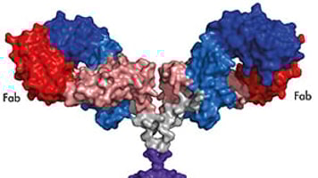 Nmr spectroscopy breakthrough retrieve.cfm