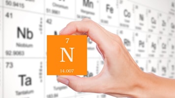 nitrogen gases