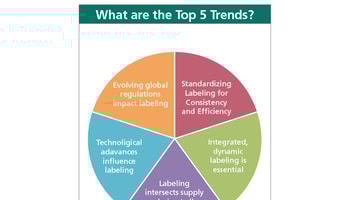 pie chart showing top 5 trends