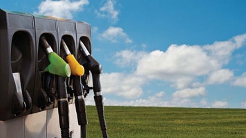 Trash to Treasure - Using Landfill Gas for Biofuel