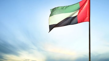 Dubai-United Arab Emirates flag UAE