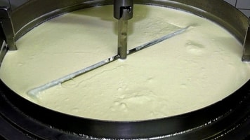 Yoghurt production