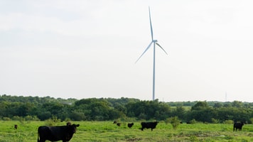 Airgas_Cleburne_ASU_Adds_Wind_Energy_-_NextEra_Image_Hubbard_Wind_Farm
