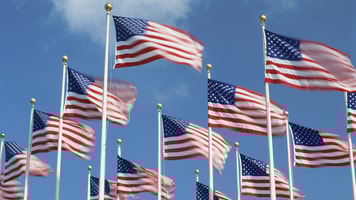 American flags flying in the wind, Washington, D.C