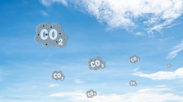 carbon capture