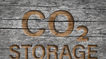 carbon storage