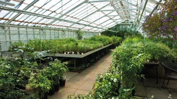 CO2 recovery potential in focas