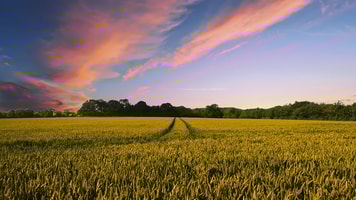 countryside-2326787_960_720
