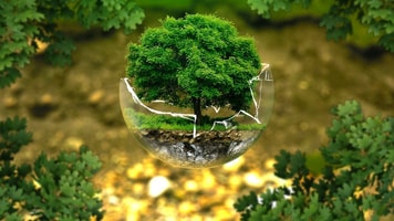 Environmental protection 326923 1280