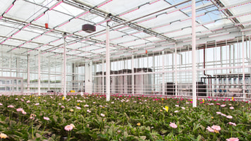 Greenhouse2030