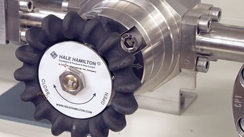 hale hamilton