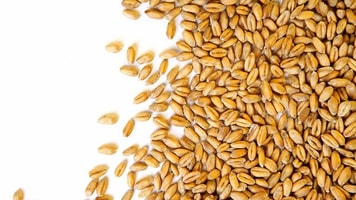 Biofuel
